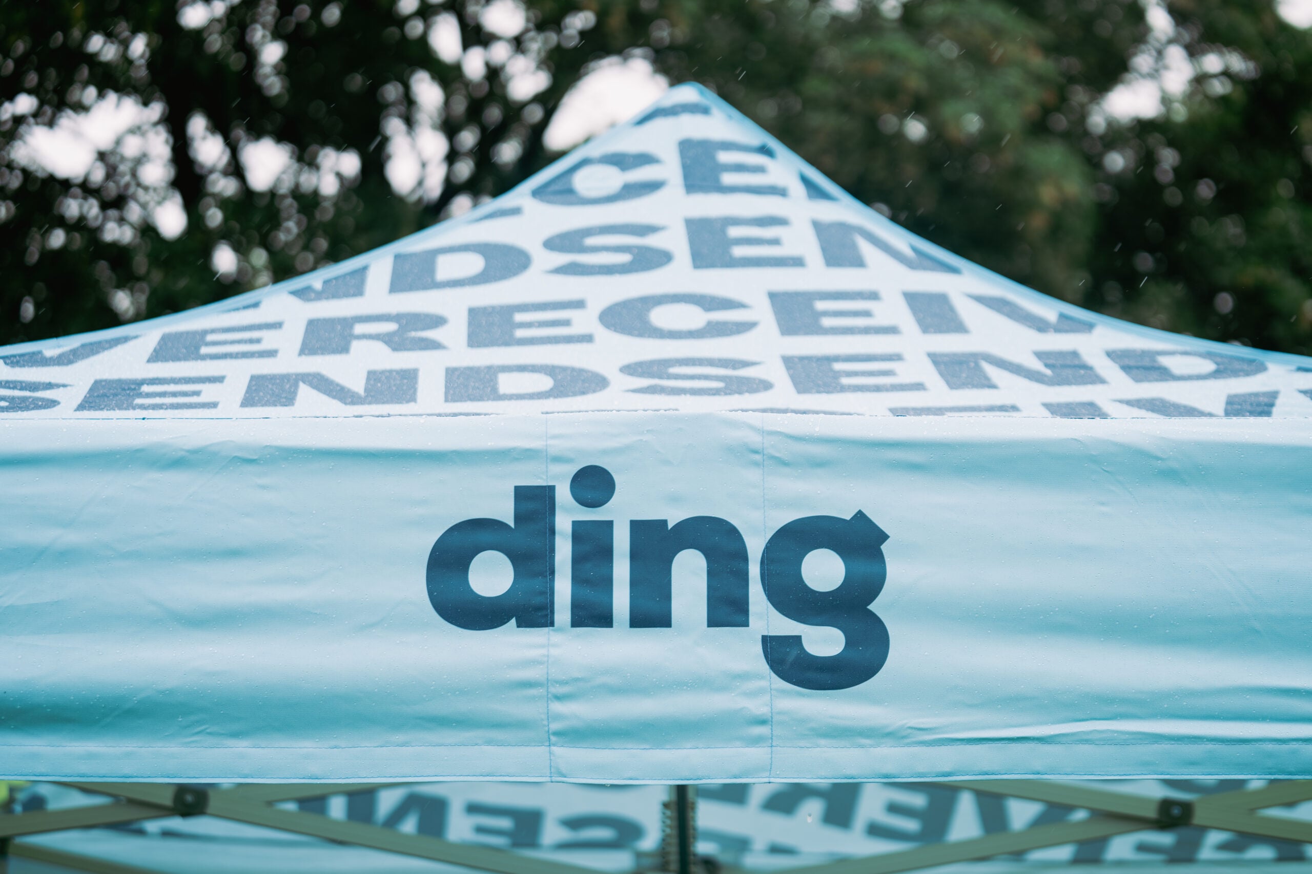 Featured image for “Ding”